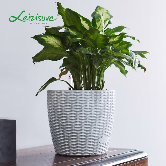 Best Price Flower Pots Eco