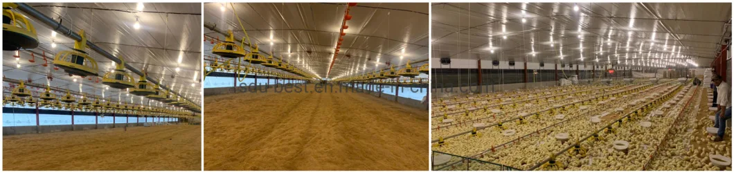 CE Approved Automatic Poultry Farming/Farm/House/Shed/Coop Cage/Machine/Equipment for Feeding and Drinking Watering Chicken/Broiler/Breeder